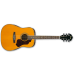 IBANEZ SGT120E ATN akustična kitara